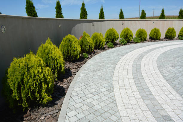 Best Affordable Driveway Pavers  in Noroton Heights, CT